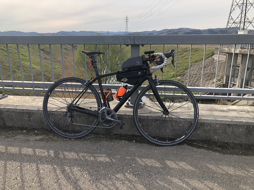 f:id:myalv:20190413215055j:plain