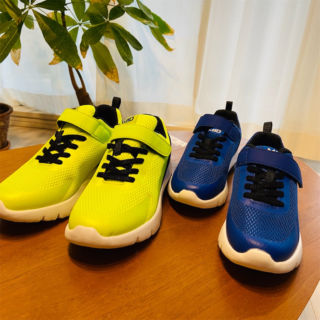 f:id:myamchang:20200216100452j:image