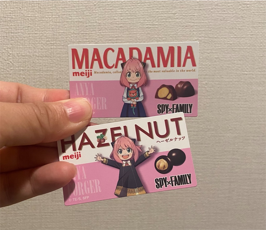f:id:myamchang:20230825104734j:image