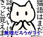 ヌコリスｗ