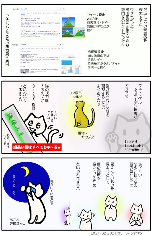 E021-02フェレンゲルシュターデン現象