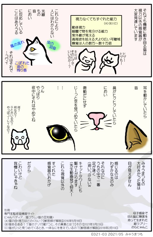 E021-03フェレンゲルシュターデン現象