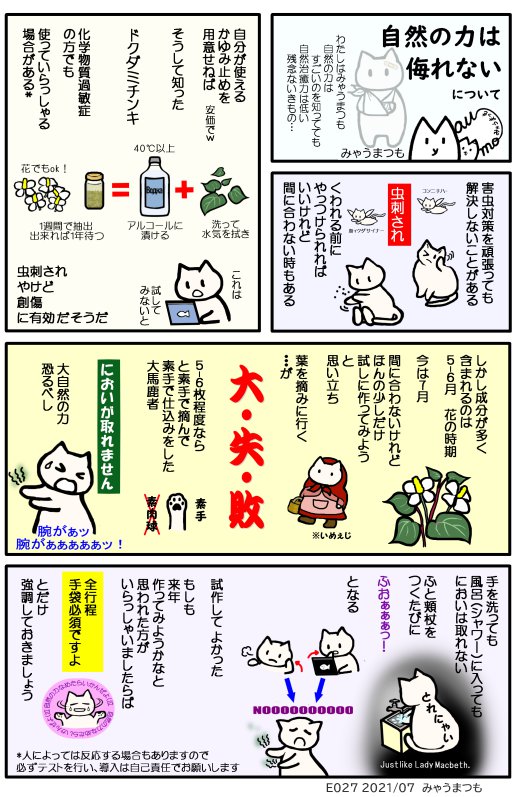 ドクダミチンキ　採取加工時は手袋必須