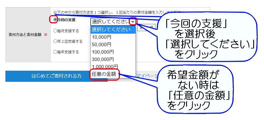 E028宮崎徹教授による猫の腎臓病治療薬研究への寄付03