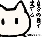 猫はカメラのレンズ越しではなく自分の目で見る