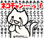 ﾈｺﾁｬﾝ…！