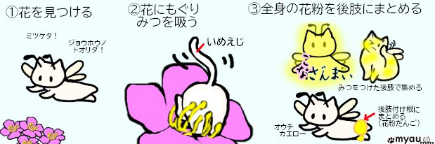 外勤バチの