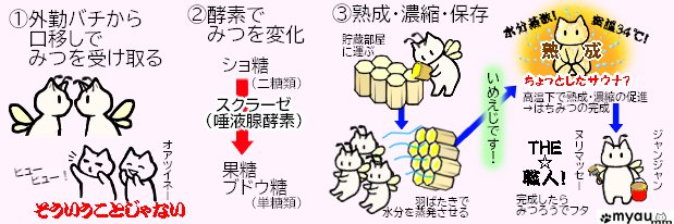 内勤の働きバチのお仕事（みつ担当）