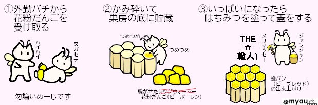 内勤働きバチ（花粉だんご担当）のお仕事