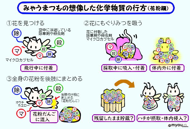 みゃうまつもの想像する化学物質の行方（花粉編）