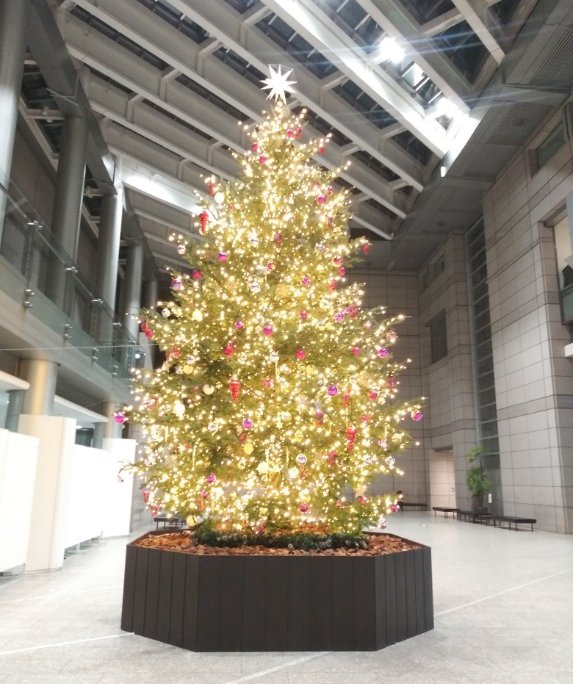 新宿パークタワーのクリスマスツリー