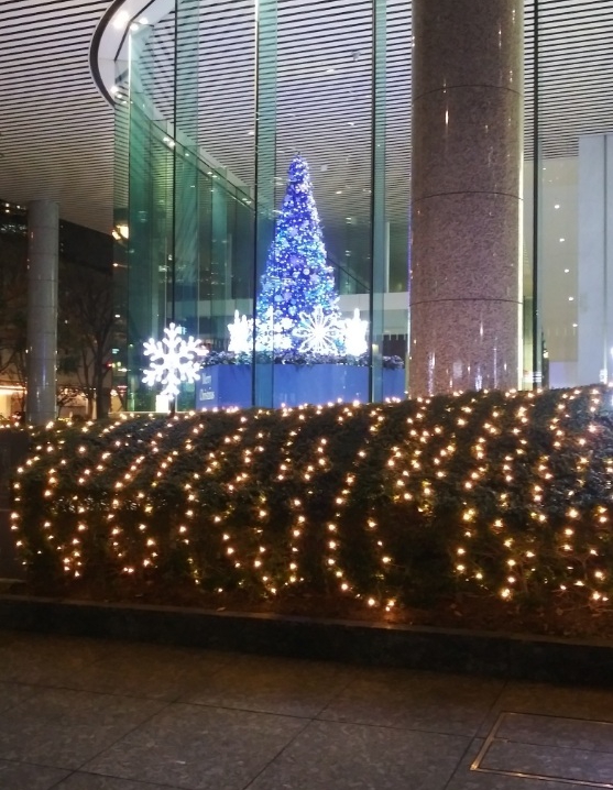 新宿ファーストウエストクリスマスツリー202101
