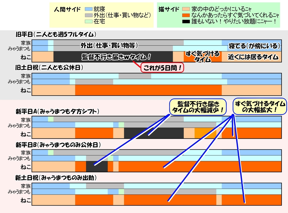 猫の質問に答える日03