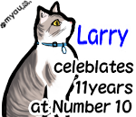 20220215ラリー就任11周年02