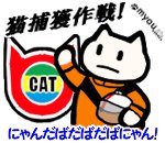 20220222ペット避妊・去勢の日ねこ捕獲作戦