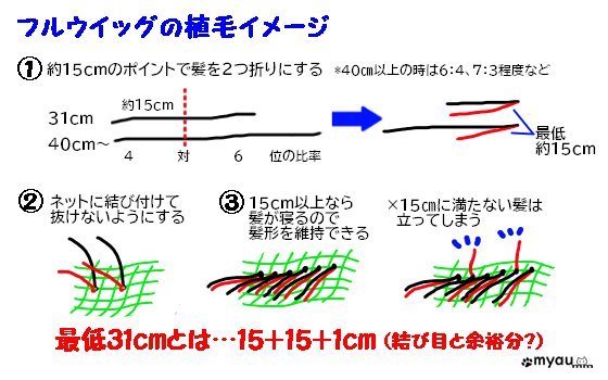 ヘアドネーション01何故31cmなのか02フルウイッグの植毛イメージ