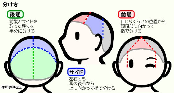 ヘアドネーション01何故31cmなのか10セルフカット手順1