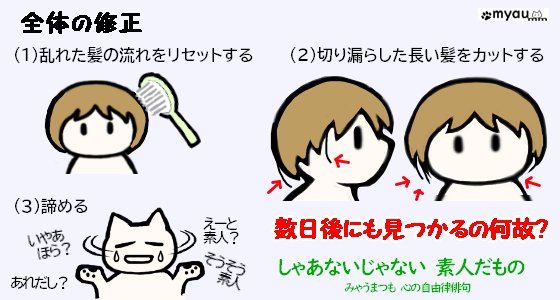 ヘアドネーション01何故31cmなのか15セルフカット手順4