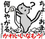 20220808世界猫の日　かわいいなもう