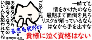 20220808世界猫の日　一時の同情は虐待に等しい