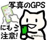 20220808世界猫の日　写真の位置情報は削除しましょう