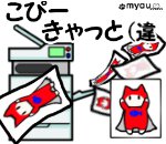 20220808世界猫の日　コピーキャット40％