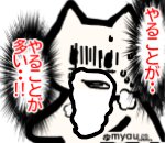 おせち正月にやることが多い神