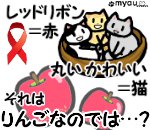 12月12日は世界りんご猫デー りんご猫の由来