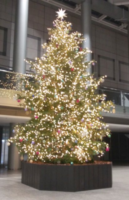新宿クリスマスイルミネーション2022-02 新宿パークタワー02