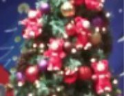 新宿クリスマスイルミネーション2022-07 タカシマヤタイムズスクエア05クマ