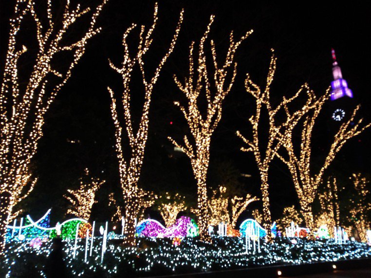 新宿クリスマスイルミネーション2022-11 Twinkly Light Syste02NTTビル
