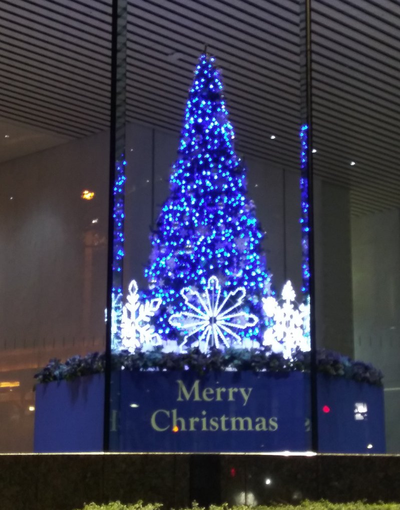 新宿クリスマスイルミネーション2022-14 新宿ファーストウエスト01ツリー