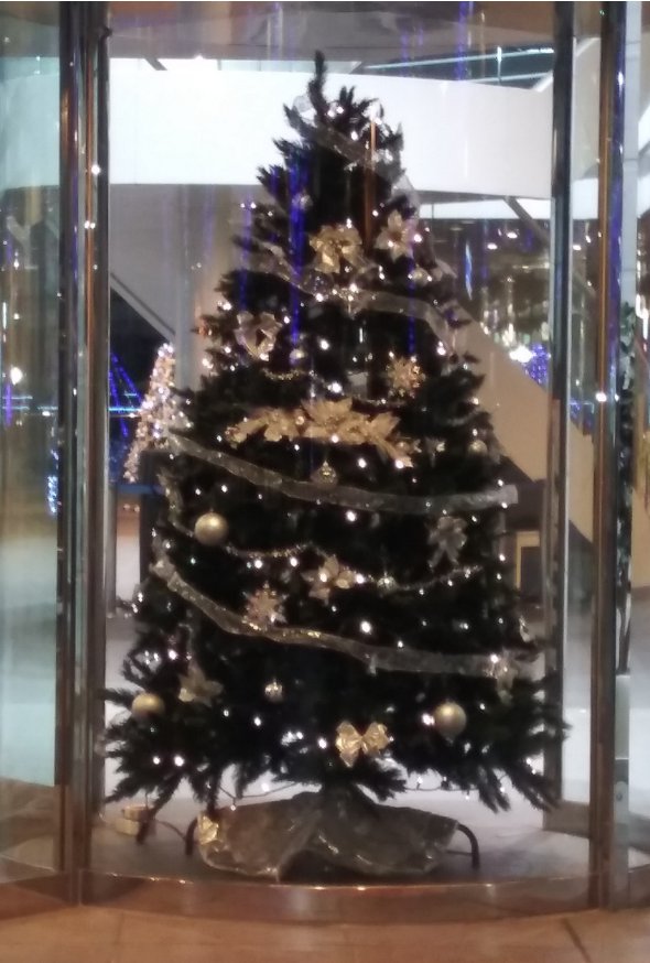 新宿クリスマスイルミネーション2022-18 エステック情報ビル02ツリー