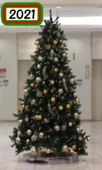 クリスマスイルミネーション2021小田急百貨店新宿本館