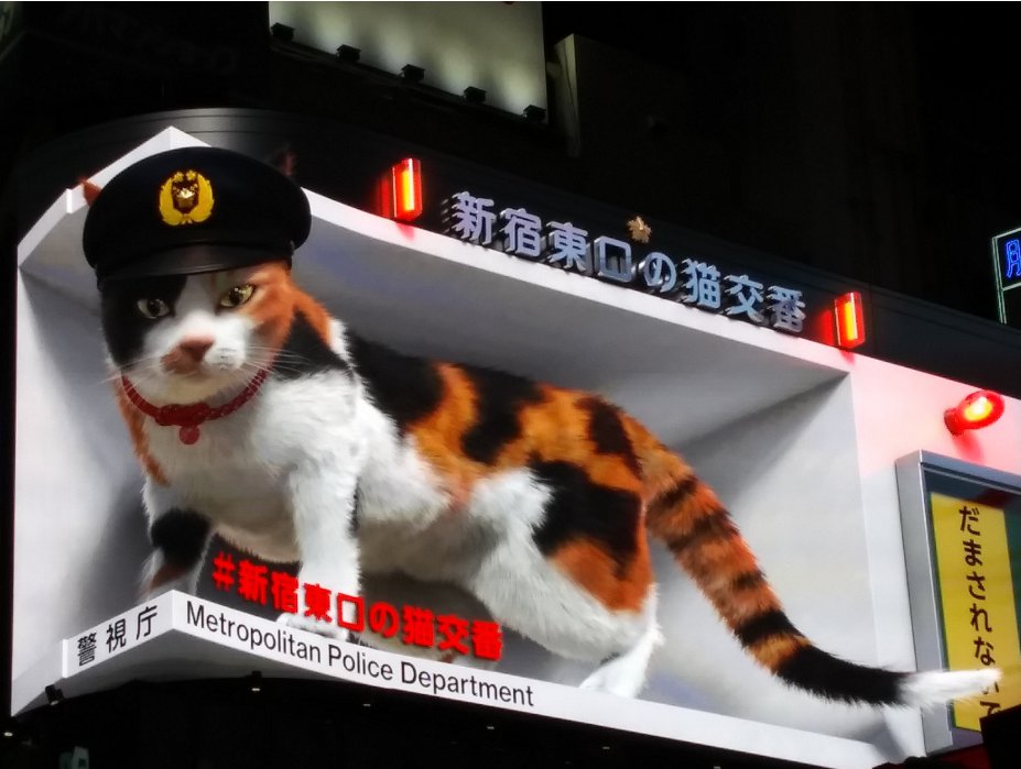 新宿クリスマスイルミネーション2022-24 番外編01新宿東口の猫