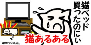 20230102Happy Mew Year for Cats Day 猫あるある1