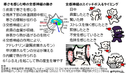 202301部屋が寒い時の身体への影響　寒さと交感神経