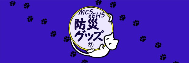 IC049M033防災防災グッズ 非常持出品と備蓄品03
