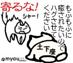 20230604猫をハグする日2　猫にハグをするのに本当に理由が必要なのでしょうか？