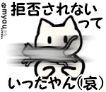 20230604猫をハグする日2　無理やりハグしない2