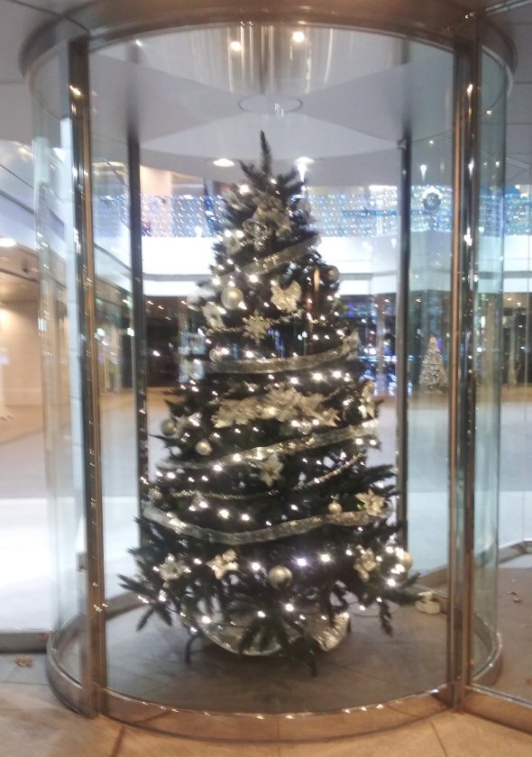 建物の外からクリスマスツリーを見る2023エステック情報ビル02