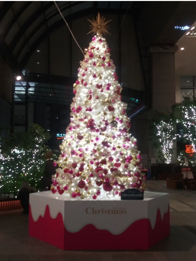 建物の外からクリスマスツリーを見る2023タカシマヤタイムズスクエア01