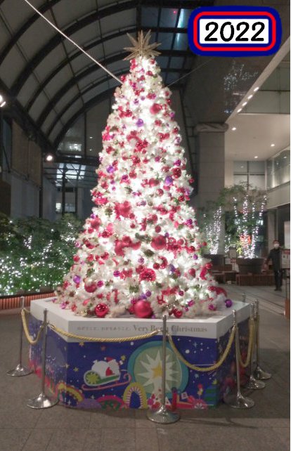 建物の外からクリスマスツリーを見る2023タカシマヤタイムズスクエア2022年