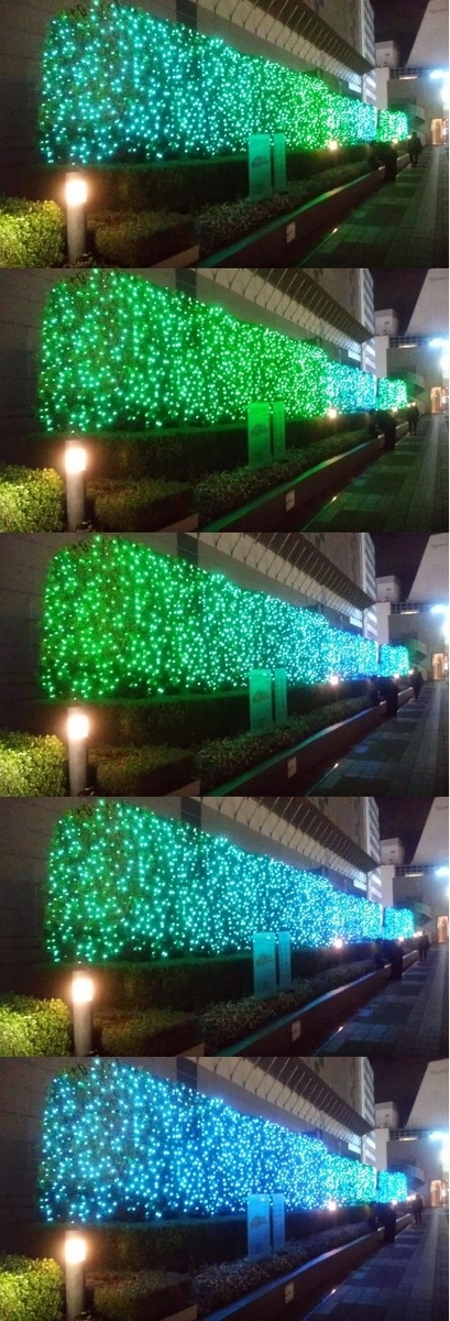 建物の外からクリスマスツリーを見る2023新宿サザンテラス・小田急サザンタワー04