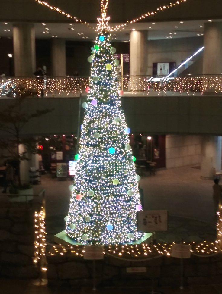 建物の外からクリスマスツリーを見る2023新宿オペラシティ03
