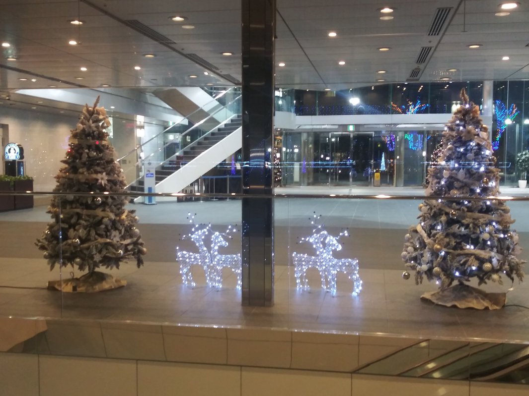 建物の外からクリスマスツリーを見る2023エステック情報ビル03