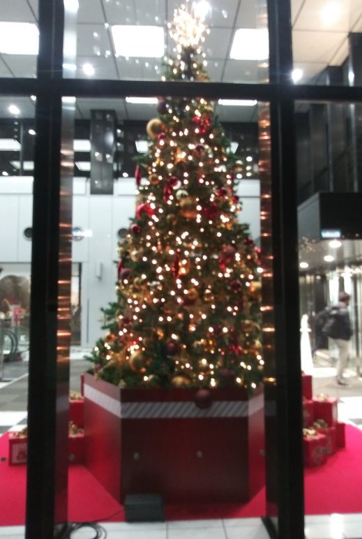 建物の外からクリスマスツリーを見る2023新宿三井ビルディング06