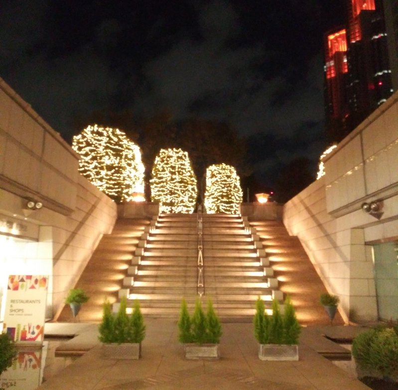 建物の外からクリスマスツリーを見る2023新宿パークタワー噴水広場03