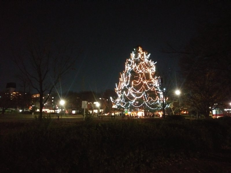 建物の外からクリスマスツリーを見る2023美しが丘公園01