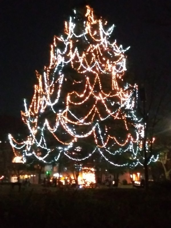 建物の外からクリスマスツリーを見る2023美しが丘公園02